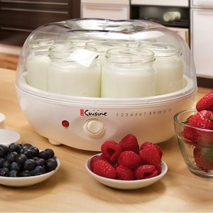 Euro cuisine yogurt maker. Very good used condition